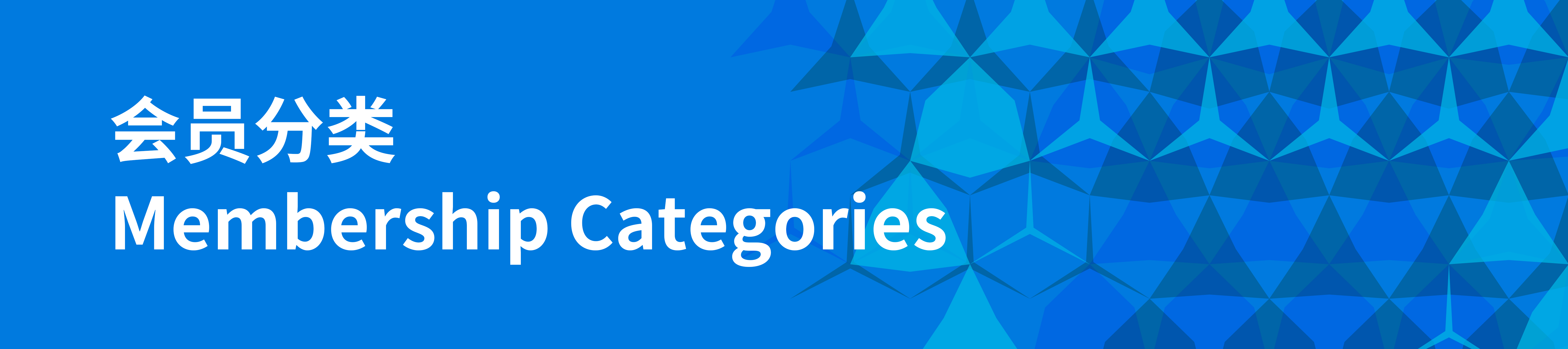 会员分类