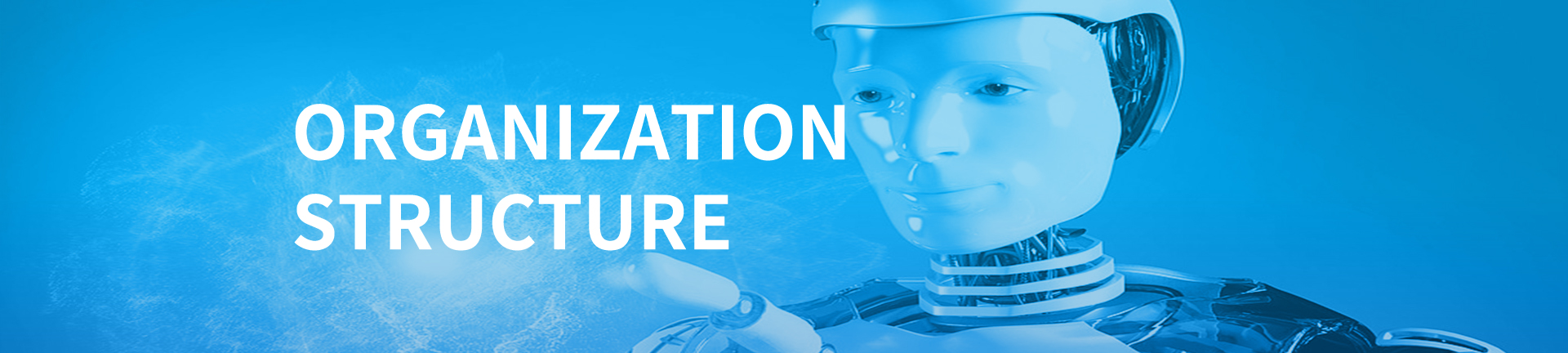 Organization Structure