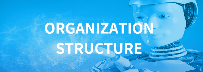 Organization Structure