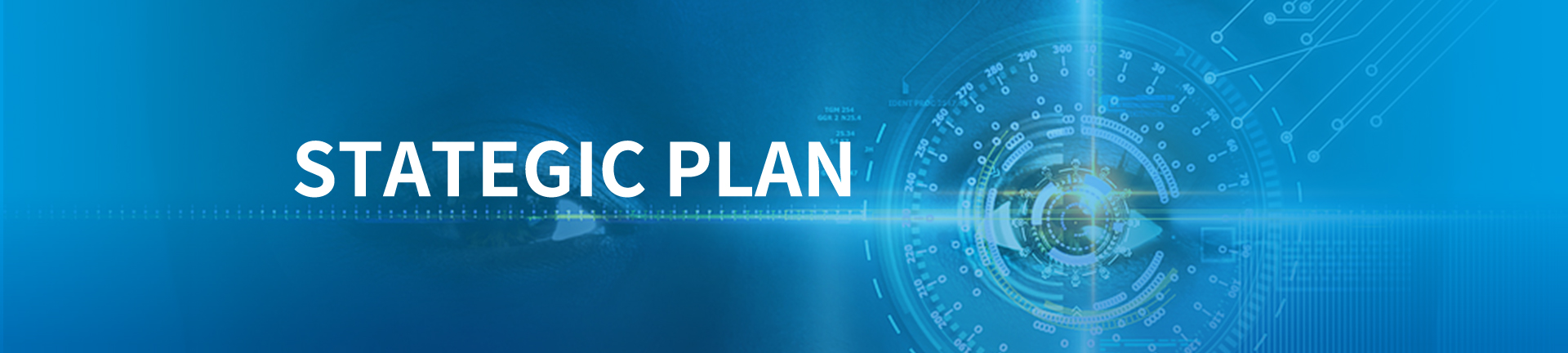 Strategic Plan