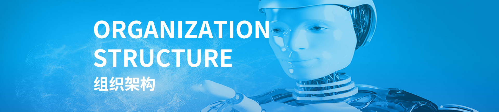 组织架构