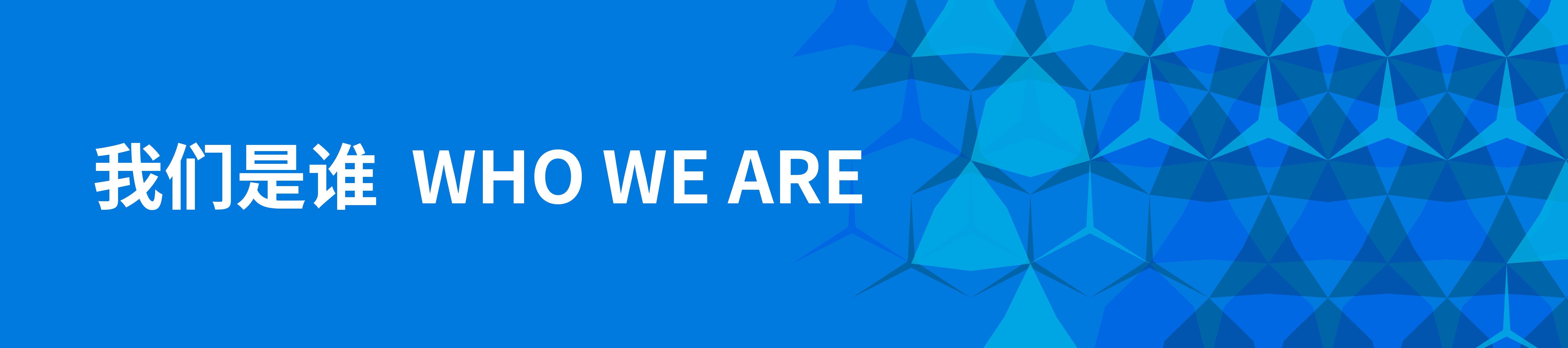 Who We Are