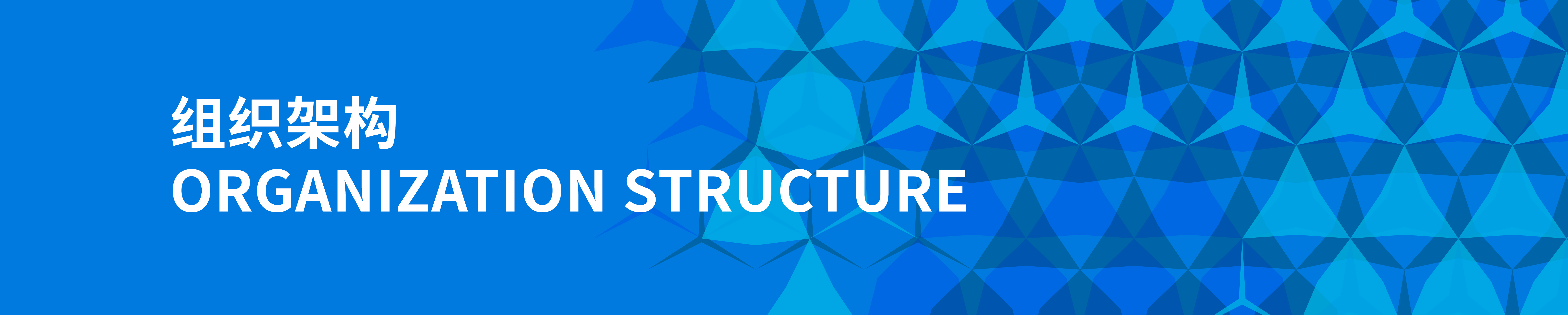Organization Structure