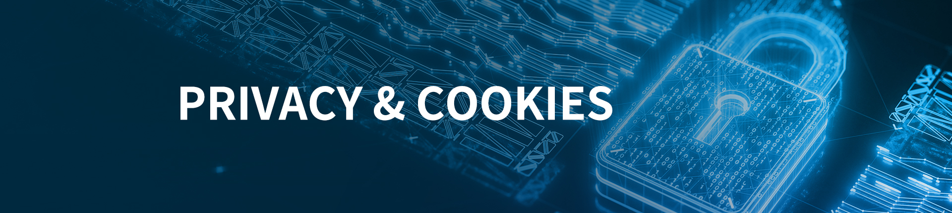 Privacy Policy and Cookies Usage Statement